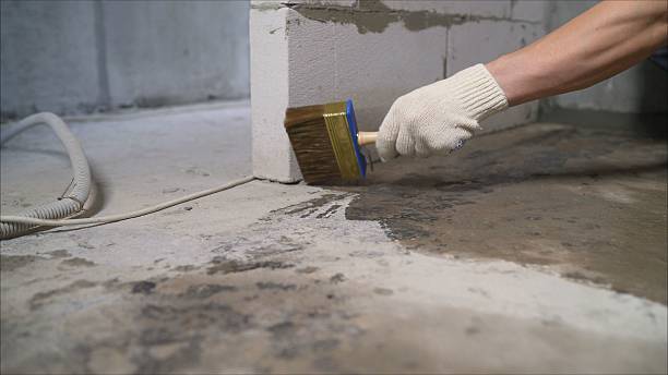 24/7 Emergency Interior Drainage System experts in Roseville, MN